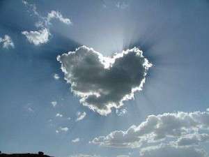amor