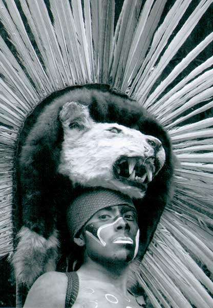 ARRIBA-LOS-PUMAS