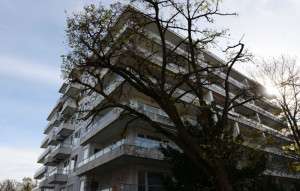 departamento obras robadas
