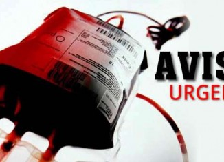 solicita sangre