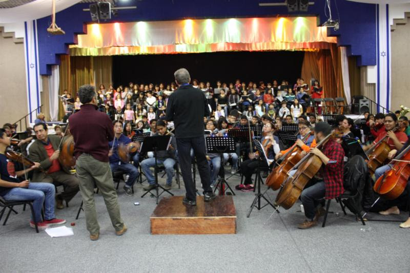 violines-4