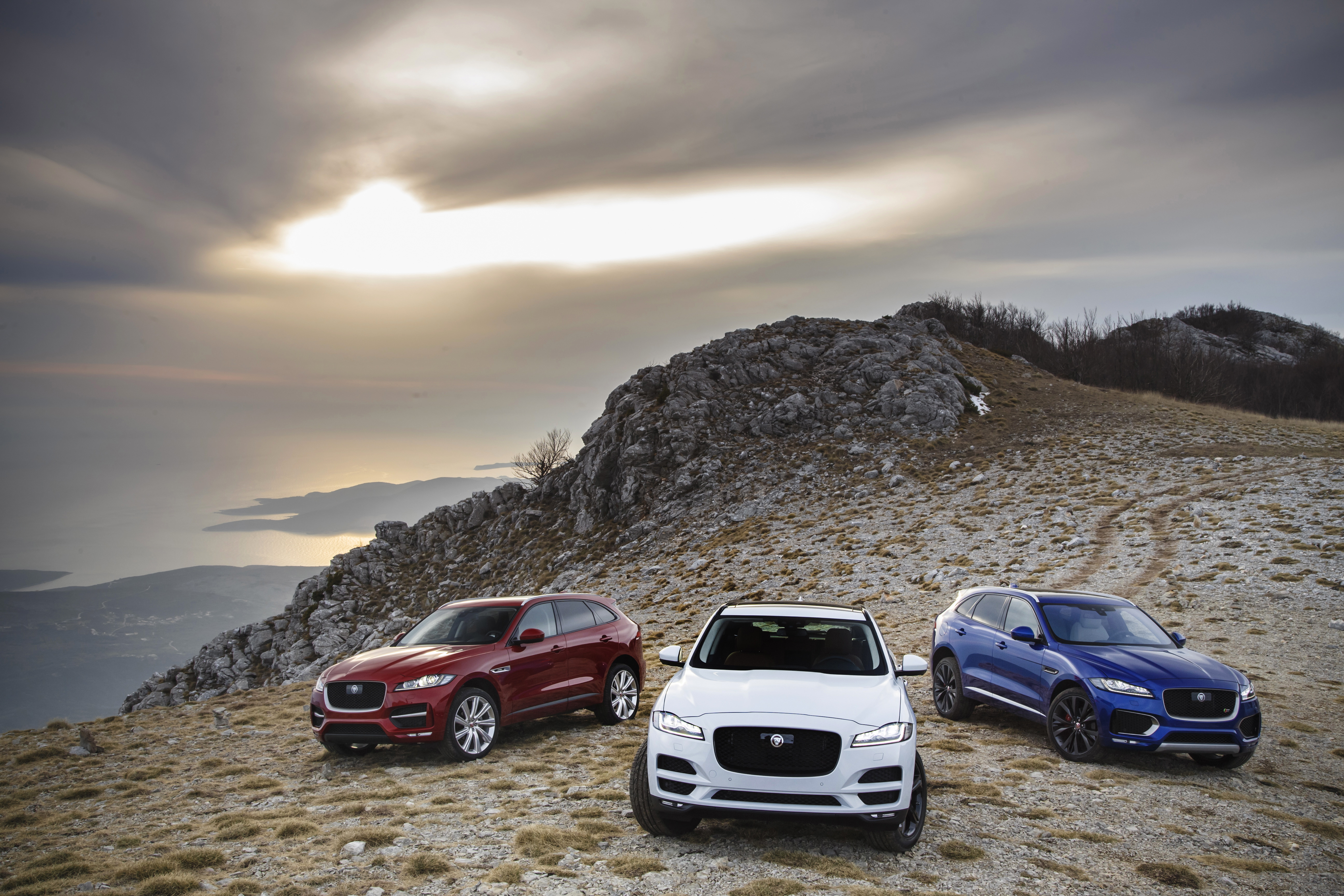 F PACE Group 002