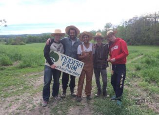 yiddish farm