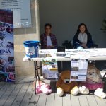 Dia DONA juventud Monte Sinaí 27