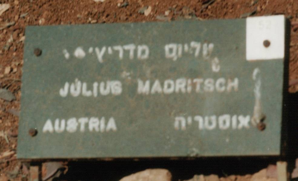 placa4