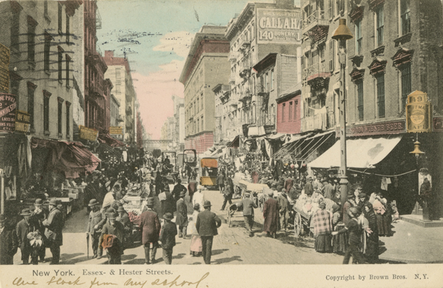 Image 4