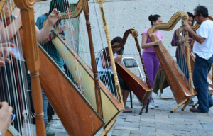 CENART. QUINTO FEST. SON JAROCHO. 1
