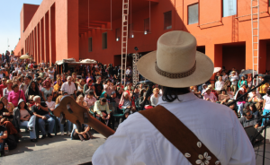 CENART. QUINTO FEST. SON JAROCHO. 2