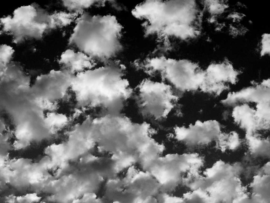 ¿Blanco o negro?