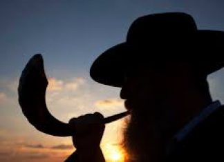 shofar chayo
