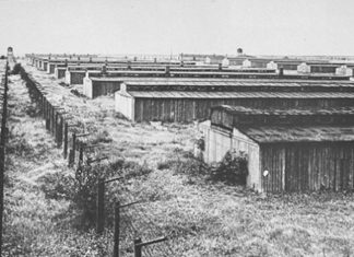 campo concentracion
