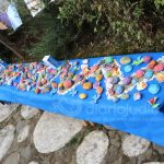 Tu Bishvat Caminata Merkaz Montessori 15