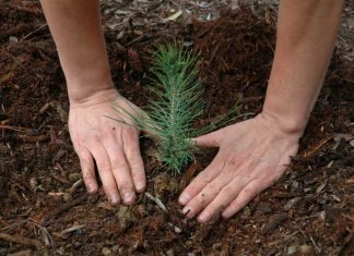 ecologia