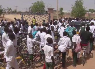 nigerianos