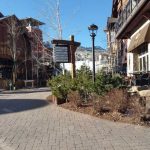 Aspen Colorado 267