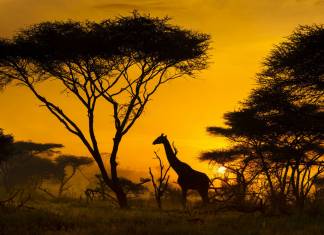 frica