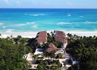 Tulum Coral1