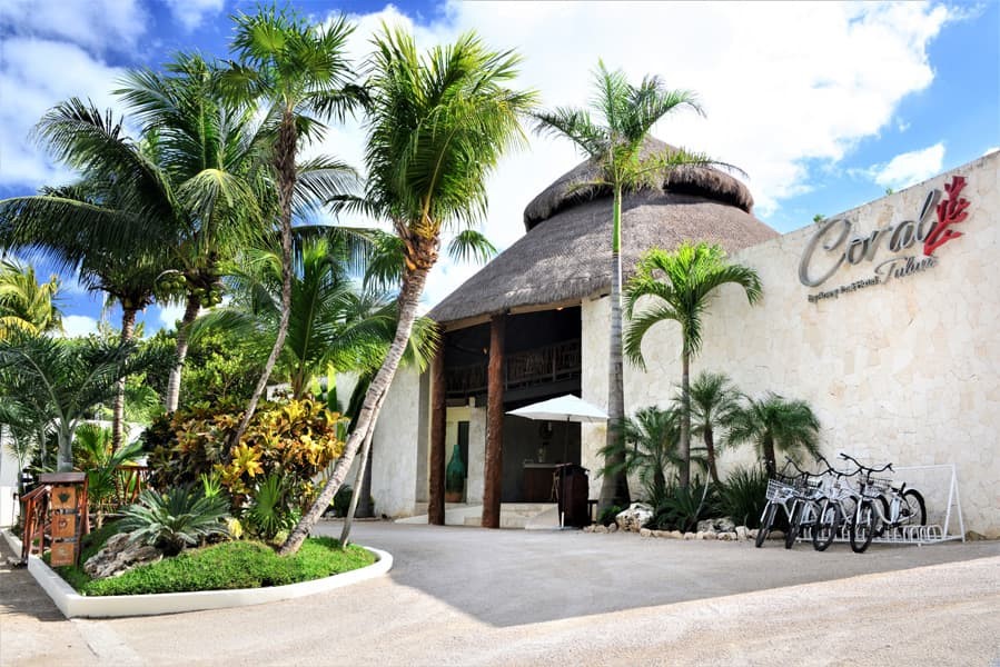 Tulum Coral4