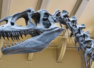 museum 367730 1920