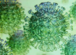 Coronavirus Santander