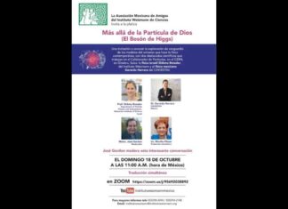 ponencia particula