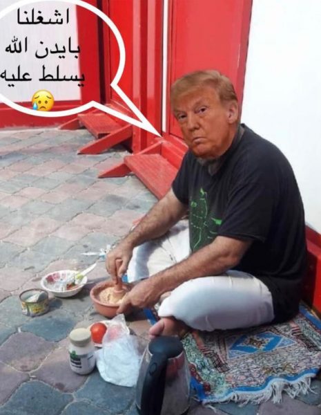 TRUMP_04_autoOrient_g