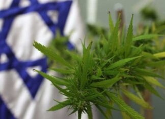 israel mariguana