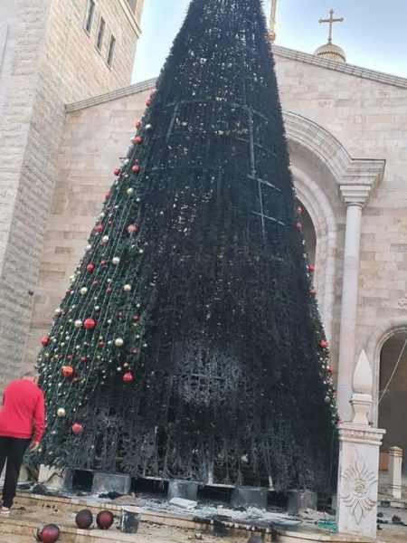 Incendiaron árboles de Navidad al norte de Israel 2 c8b6303b-6135-4c7f-ab0a-a4436c_dcrgyj
