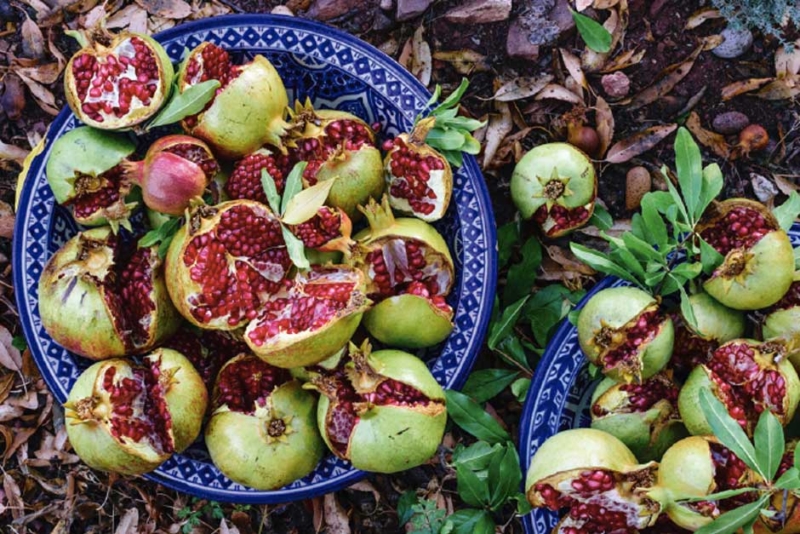 La Red de Juderías de España lanza su proyecto "Sabores de Sefarad"