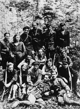 csm partisan unit d0fa6747e6