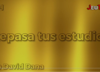 jew tube 89 dana