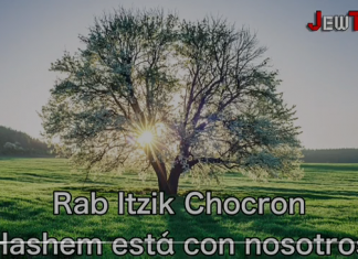 jewtube dosis diaria 82