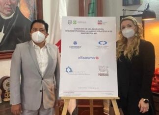 alcaldia miguel hidalgo desarrollo capacitacion