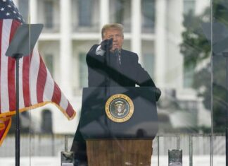 ap trump 0