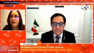 senado ratifica embajador de israel 1