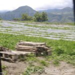 Primera Piedra Ciudad de la Tora Mexico Ixtapan de la Sal 144