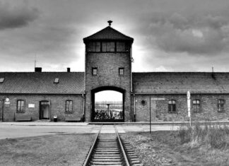 auschwitz birkenau museum e1558525096812