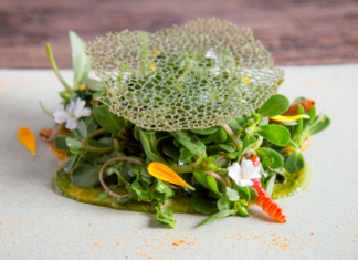 Umami Oaxaqueño2