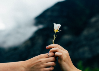 5 Razones que hacen que un empleado renuncie 17