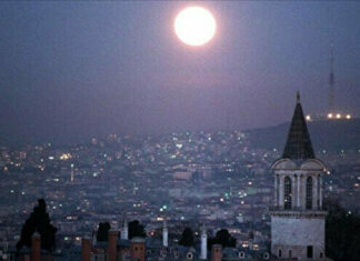 8aa5a997 sebcvrffyejv81enzqprp 1