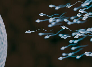 iStock 649026488 640x400 1