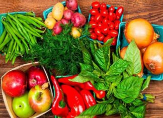 productos organicos 1