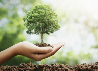 Tu Bishvat generica