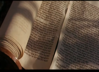 Screenshot 215