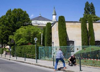 suiza minorias presupuesto