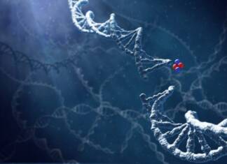 AlphaTAUMedical Israeli cancer research 1024x717 1 scaled 1