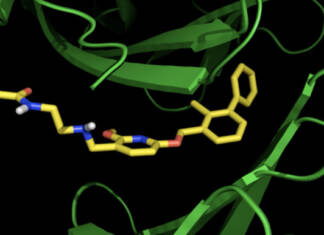 cientificos israelies se apuran para ofrecer la primera inmunoterapia del mundo en forma de pildora para el cancer 01
