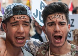 minifa palestina31072014 18