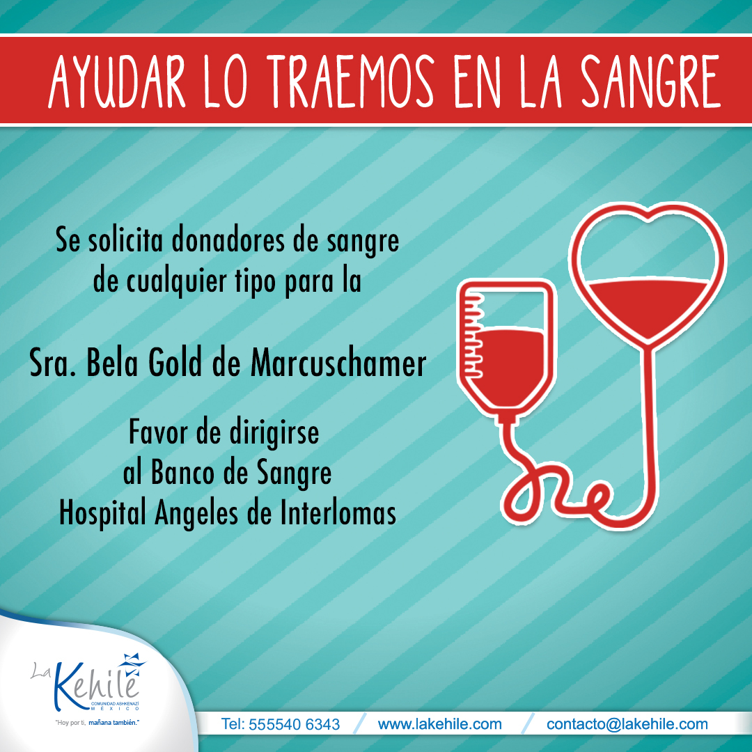 Sangre Bela Gold de Marcuschamer