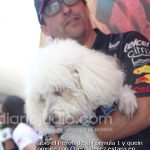 Fabio el Peroo de la Formula 1 y quein compite con Checo Perez estara en Speed Fest y gran premio Historico 4 1